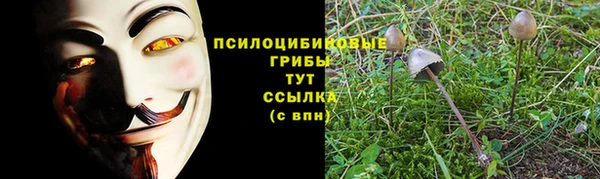 героин Новозыбков