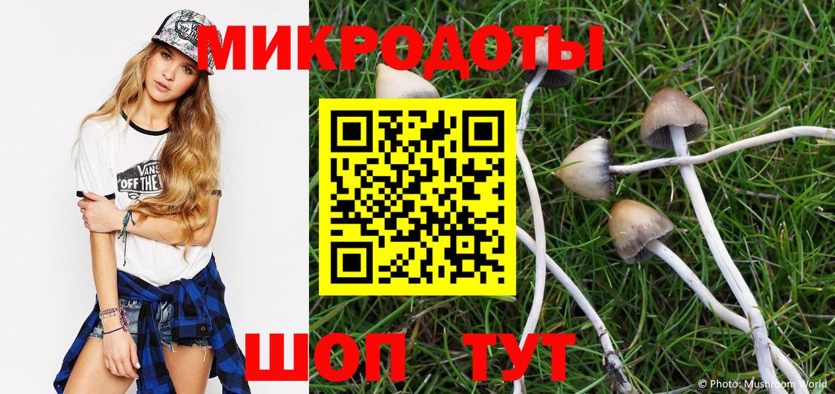 Североморск  Галлюциногенные грибы MAGIC MUSHROOMS  Вход с VPN 